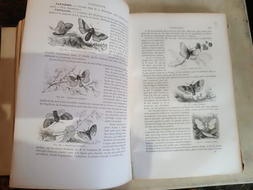 Pêche Livre Ancien Dictionnaire Général des Pêches par H. de la Blanchère Edition Delagrave 1868 – Image 7