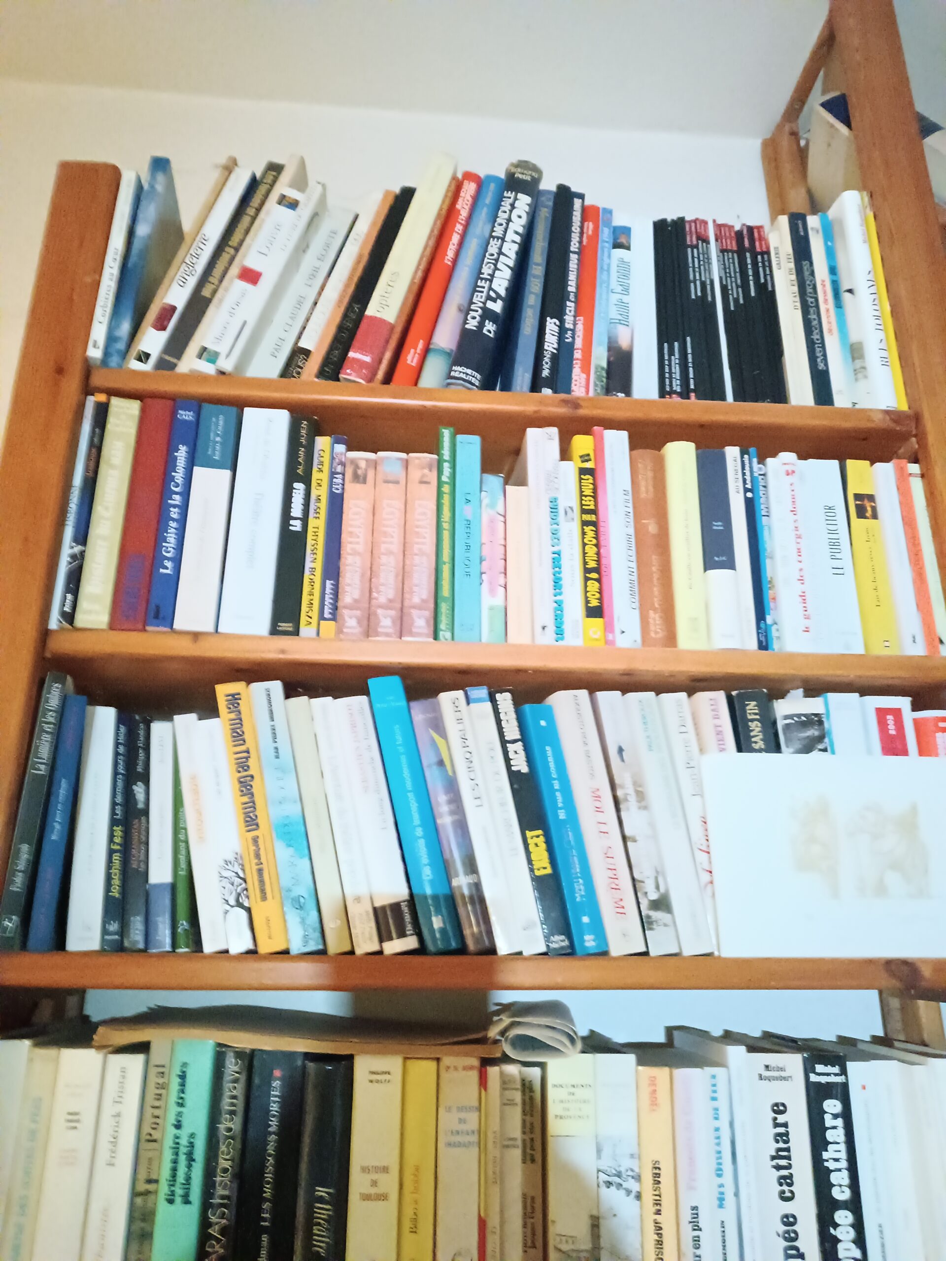 Toulouse Brocante Antiquités les Nouveautés du 17 Janvier 2026 – Image 42