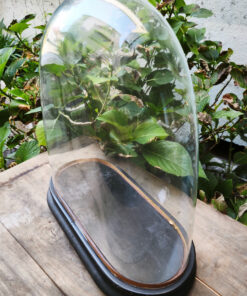 Les PUCES D'OC Antiquités Brocante Achats-Vente – Image 5