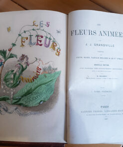 les fleurs animees