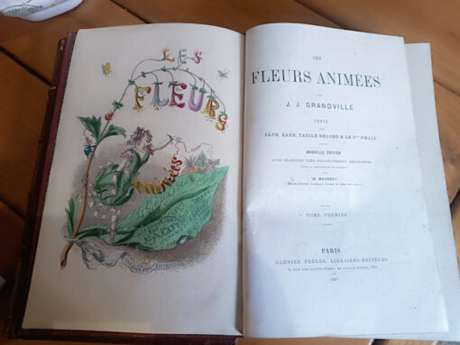 les fleurs animees