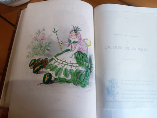 Les Fleurs Animées Edition en deux volumes de Jean Jacques Grandville  Editeurs Garnier Frères Paris 1867 – Image 3