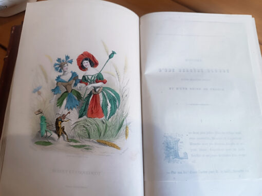 Les Fleurs Animées Edition en deux volumes de Jean Jacques Grandville  Editeurs Garnier Frères Paris 1867 – Image 4