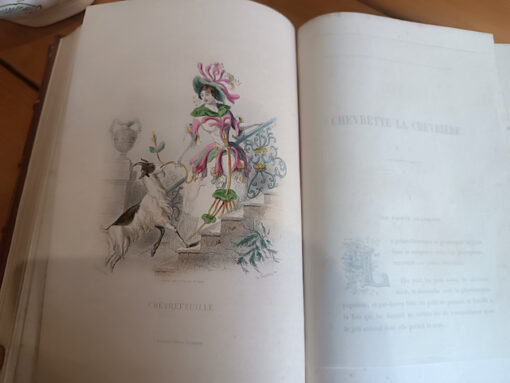 Les Fleurs Animées Edition en deux volumes de Jean Jacques Grandville  Editeurs Garnier Frères Paris 1867 – Image 5