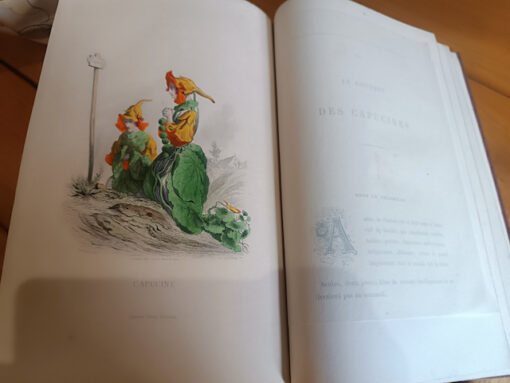 Les Fleurs Animées Edition en deux volumes de Jean Jacques Grandville  Editeurs Garnier Frères Paris 1867 – Image 7