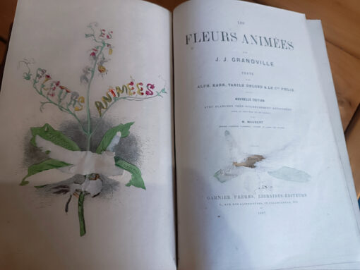 Les Fleurs Animées Edition en deux volumes de Jean Jacques Grandville  Editeurs Garnier Frères Paris 1867 – Image 8