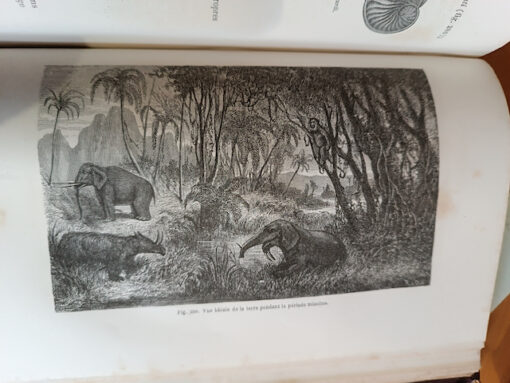 Livre Louis Figuier "La terre avant le déluge" quatrième Edition Hachette 1864 – Image 4