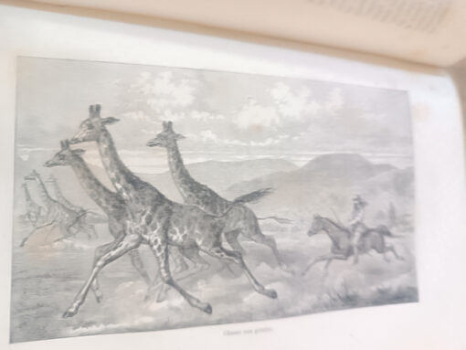 Livre Baker Samuel White découverte de l'Albert N'Yanza Librairie de L.Hachette 1868 – Image 8