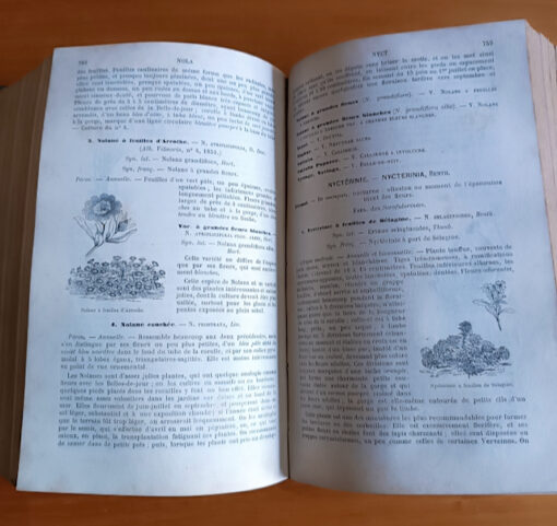 Les Fleurs de pleine terre Livre Ancien par Vilmorin -Andrieux & Cie troisième édition 1870 – Image 8
