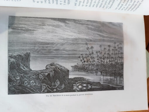 Livre Louis Figuier "La terre avant le déluge" quatrième Edition Hachette 1864 – Image 6