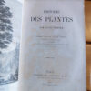 histoire des plantes