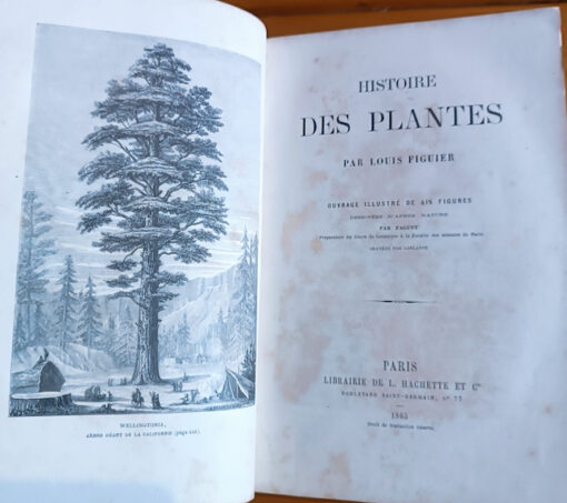 Histoire des Plantes Livre Ancien par Louis Figuier Edition Librairie L.Hachette 1865 – Image 3