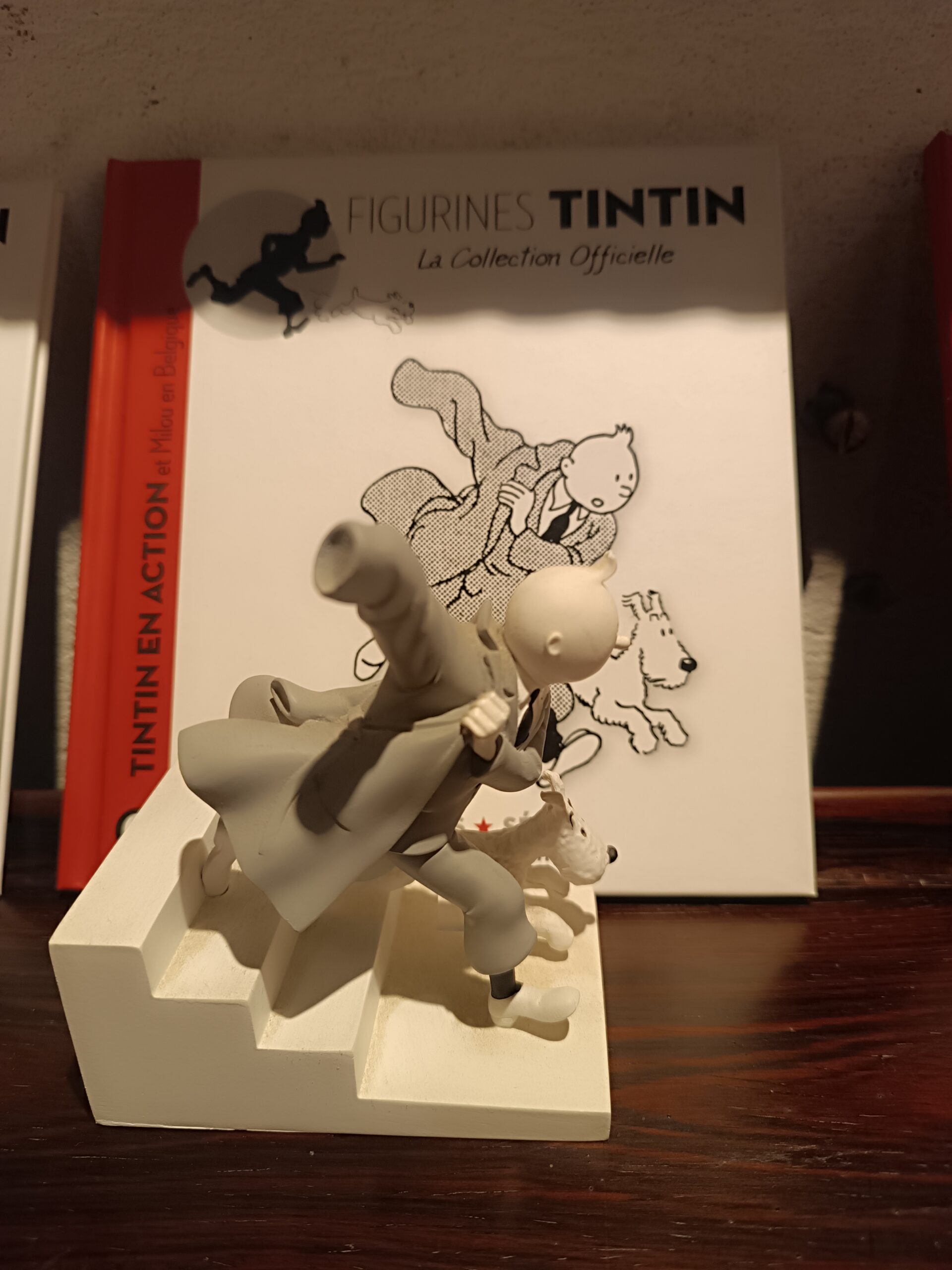 Tintin Hors SÉRIE N&B Figurines + Livrets année 2015 – Image 5