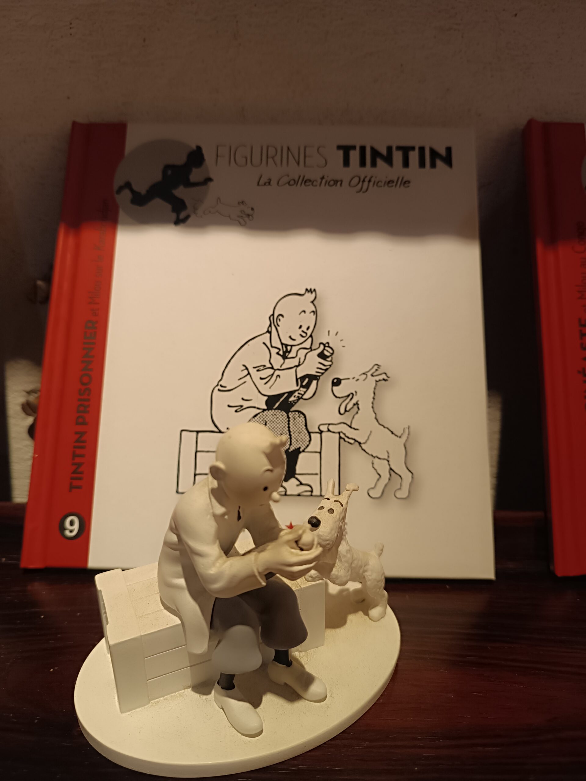 Tintin Hors SÉRIE N&B Figurines + Livrets année 2015 – Image 6
