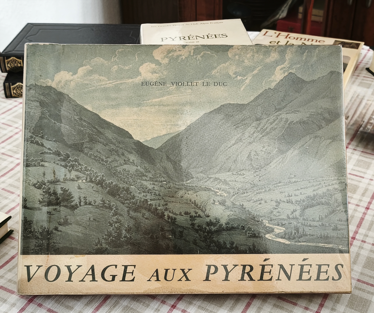 voyage aux pyrénées