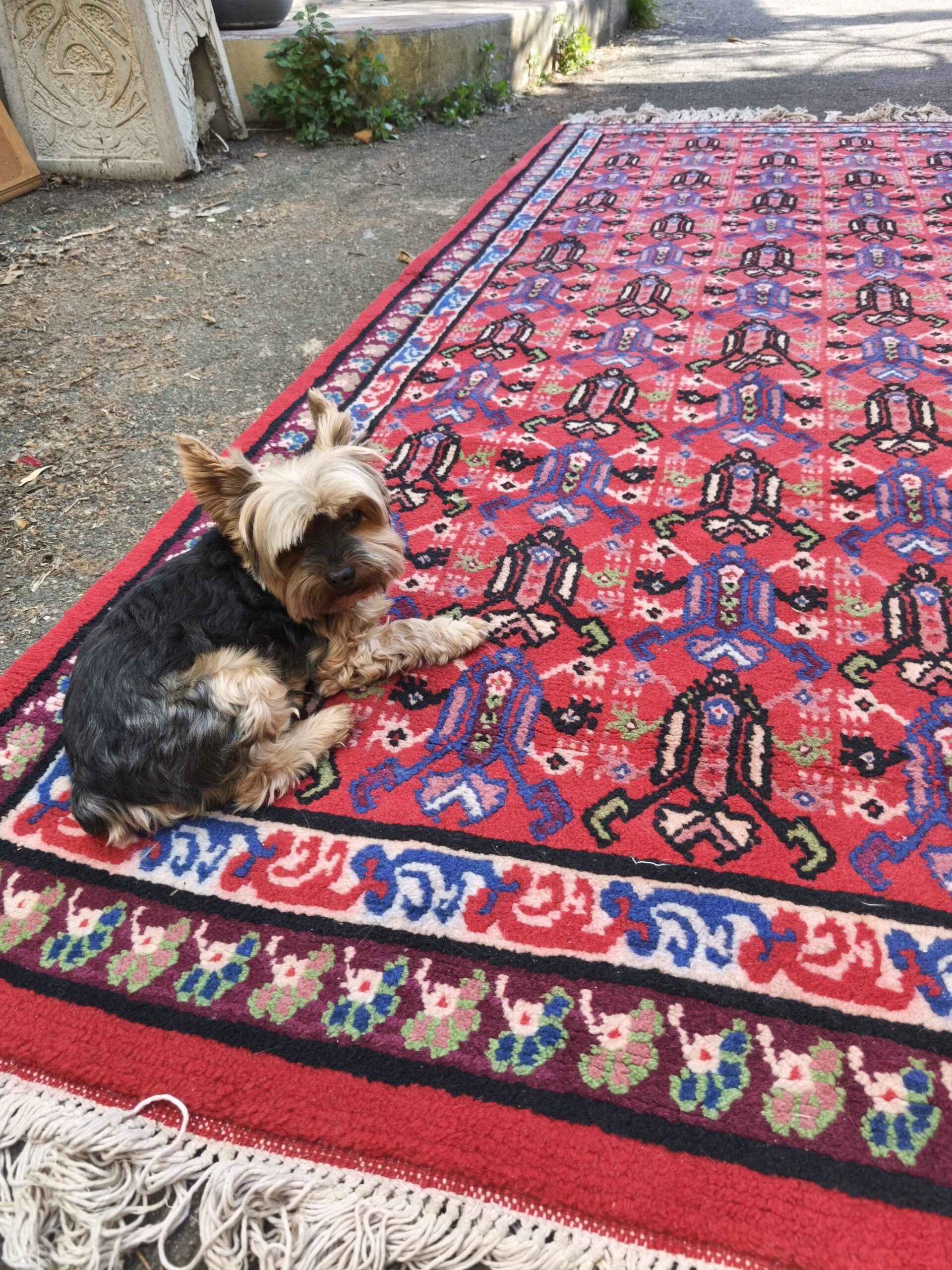 Tapis Fait Main seconde main – Image 2