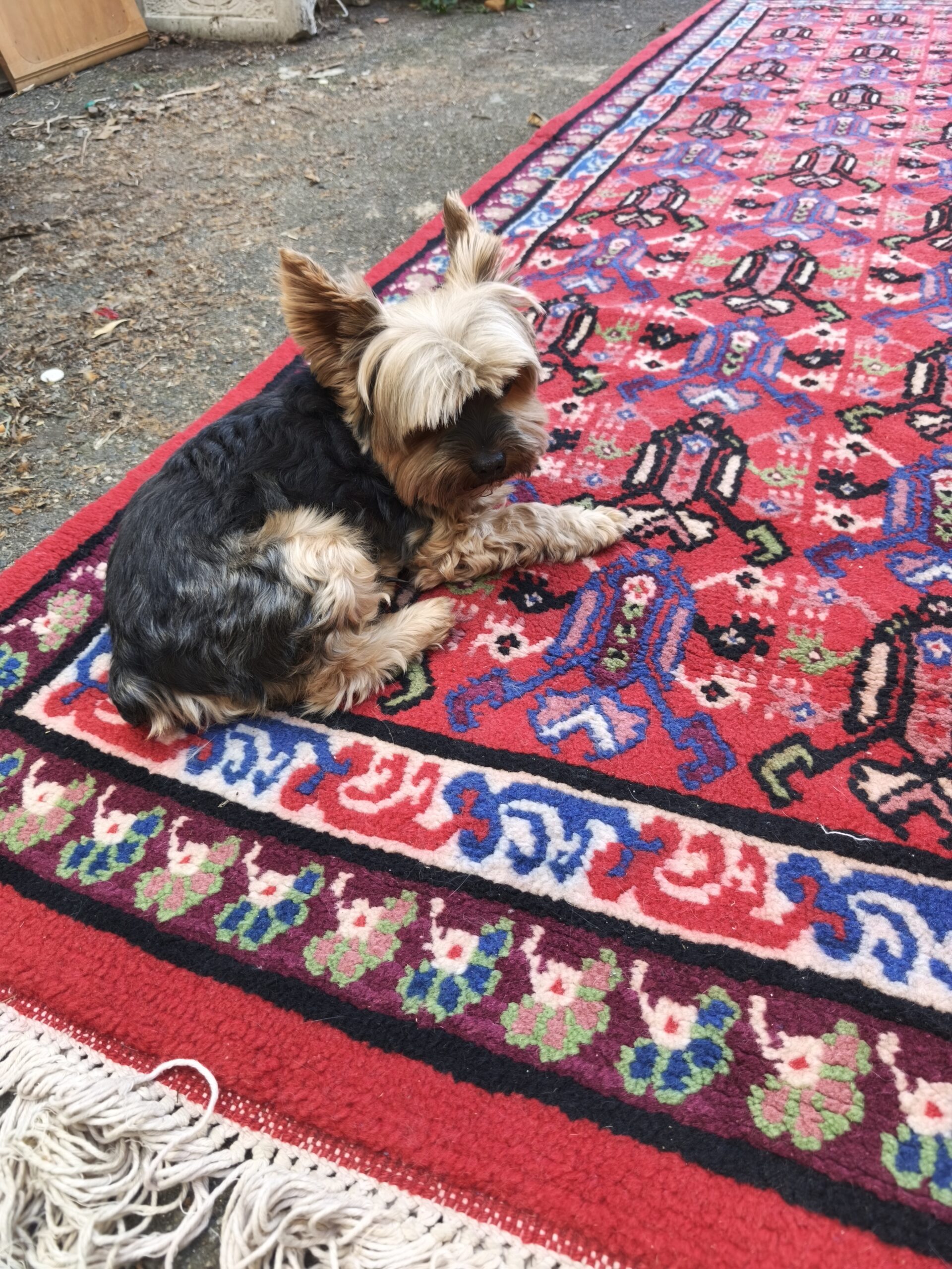 Tapis Fait Main seconde main – Image 6