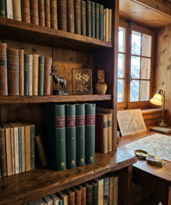 voyage dans les alpes