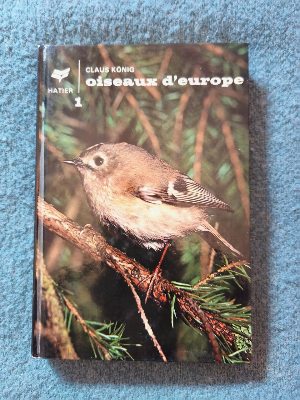 oiseaux d'europe