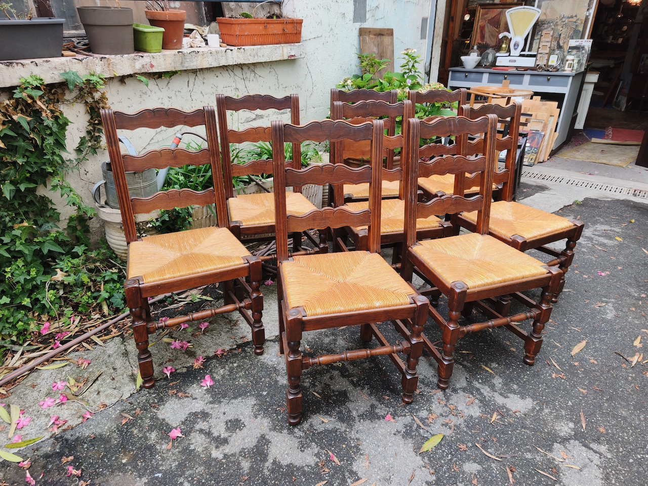 chaises campagnardes