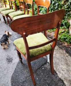 Chaises Victoriennes série de six en Acajou Epoque XIXème – Image 5