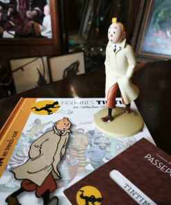 Figurines Tintin Collection Officielle Editions Moulinsart avec livrets explicatifs et passeports. – Image 8