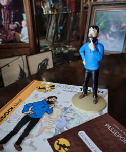 Figurines Tintin Collection Officielle Editions Moulinsart avec livrets explicatifs et passeports. – Image 9