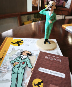 Figurines Tintin Collection Officielle Editions Moulinsart avec livrets explicatifs et passeports. – Image 12